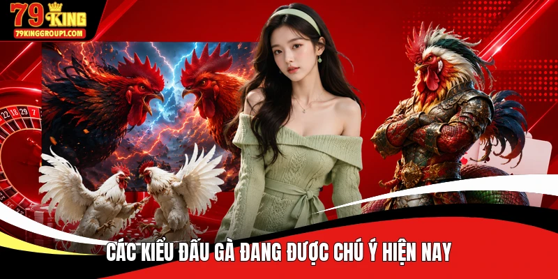 Các kiểu đấu gà đang được chú ý hiện nay